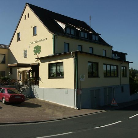 Restaurant Gruener Baum Hotel Leidersbach ภายนอก รูปภาพ