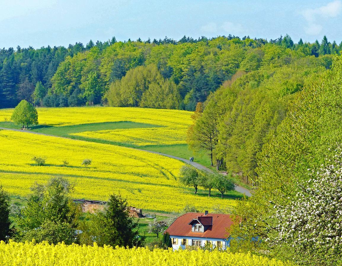 Restaurant Gruener Baum Hotel Leidersbach ภายนอก รูปภาพ